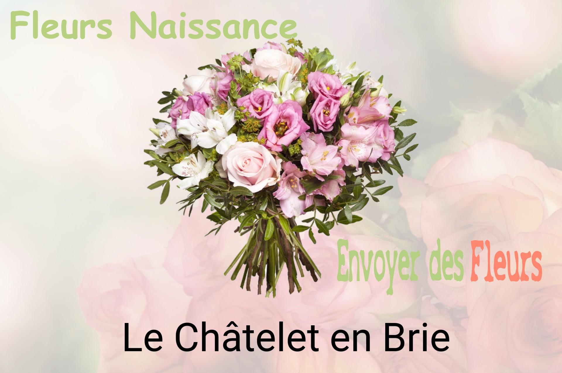 Bouquet de fleurs de naissance livré à Le Châtelet-en-Brie