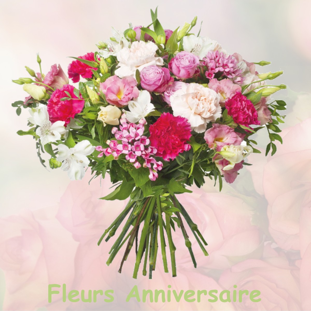 fleurs anniversaire LE-CHATELET-EN-BRIE